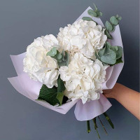 Vanilla Sky” White Hydrangea Bouquet – Elegant Gift for Loved Ones